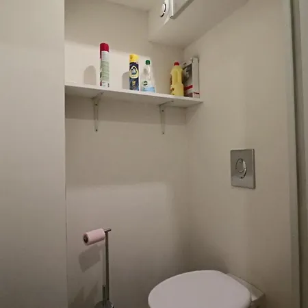 Les Volcans - Guillaume Lacoste *